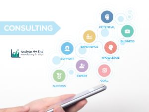IT Consulting